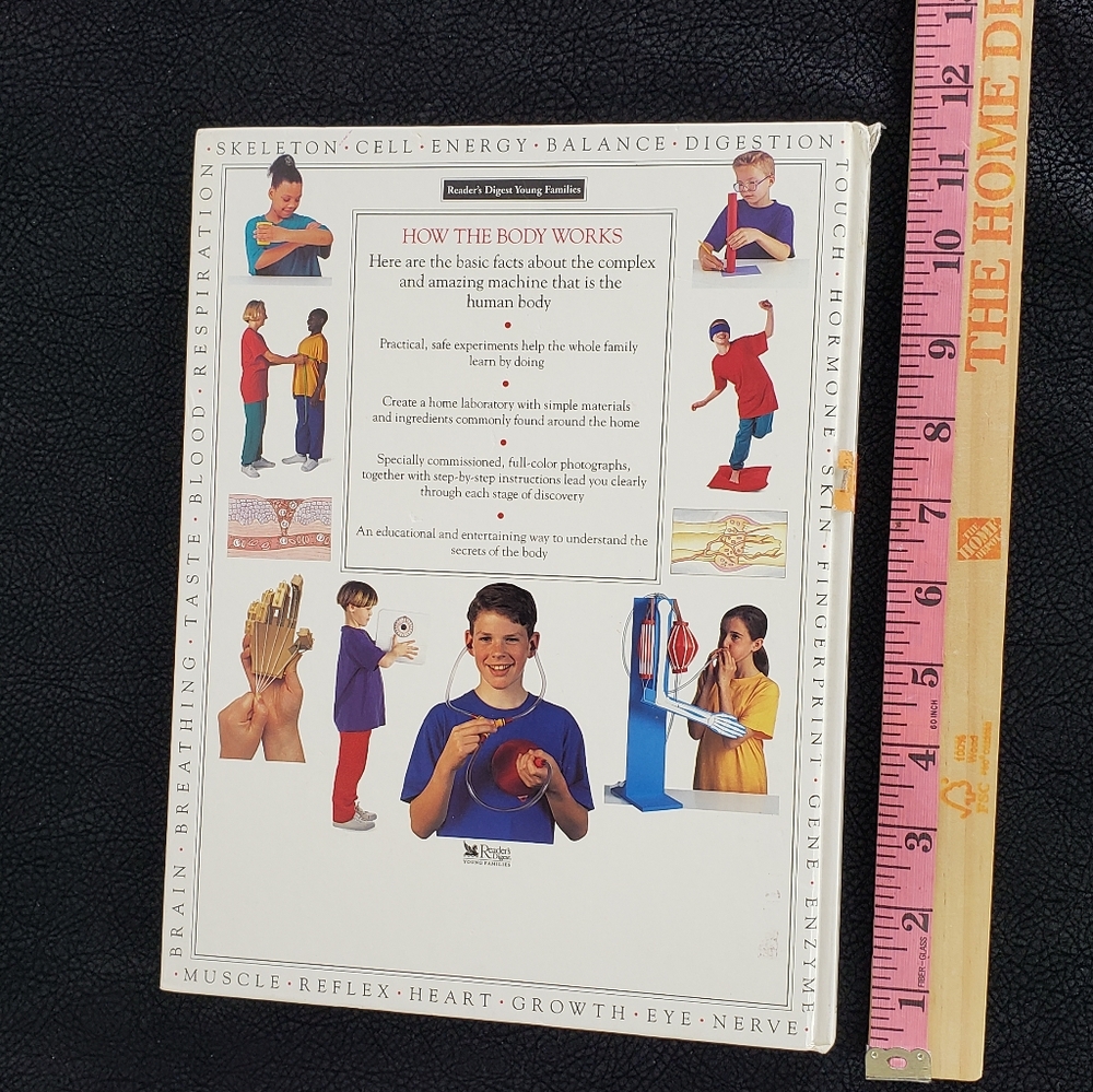 How the Body Works Book! - Picture 11 of 11